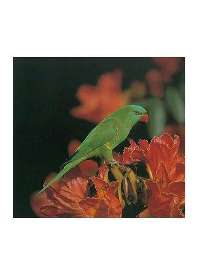 فوتو بلوك بوستر حائط للتزيين متعدد الألوان 50x50سم