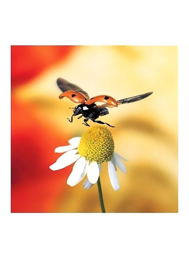 PHOTOBLOCK Decorative Wall Poster White/Yellow/Black 32x32cm