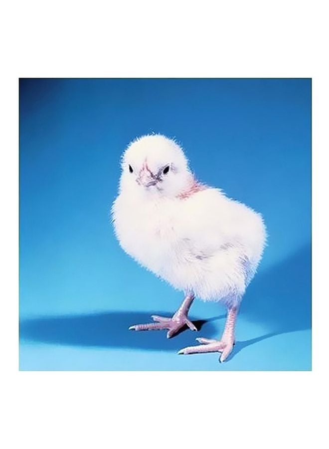 فوتو بلوك بوستر حائط للتزيين أزرق/أبيض/وردي 32x32سم