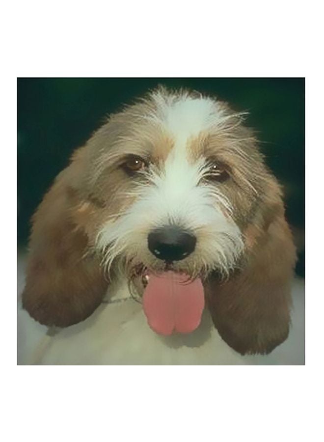 Decorative Wall Poster Multicolour 50x50cm