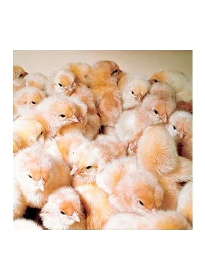 PHOTOBLOCK Decorative Wall Poster Multicolour 23x23cm