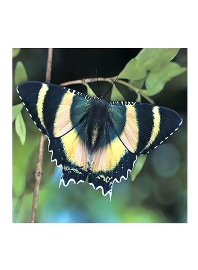 Decorative Wall Poster Blue/Green/Yellow 23x23cm