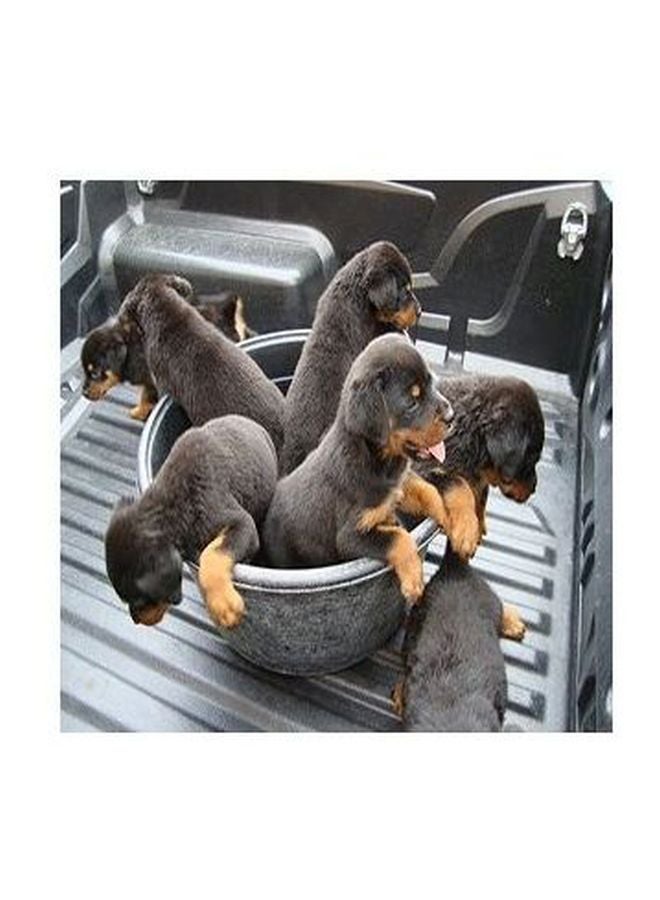 بوستر حائط للتزيين رمادي/أسود/ذهبي 23x23سم