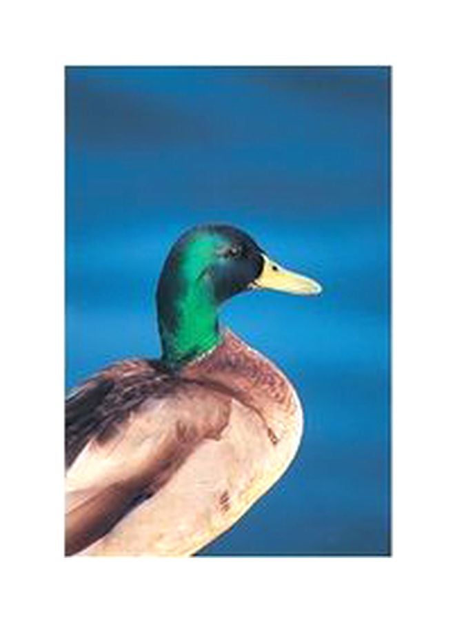 Decorative Wall Poster Multicolour 45x31cm