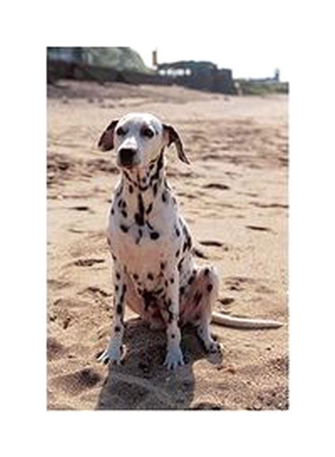 Decorative Wall Poster Multicolour 45x31cm