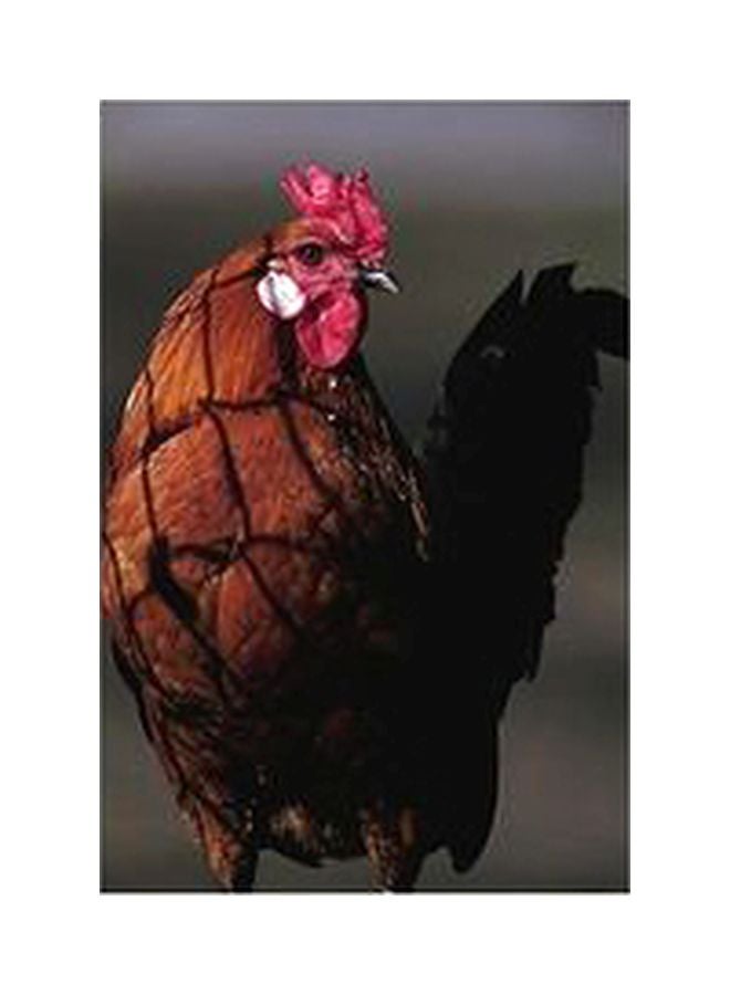 فوتو بلوك بوستر حائط للتزيين متعدد الألوان 45x31سم