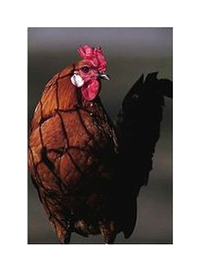 Decorative Wall Poster Brown/Red/Black 60x40cm