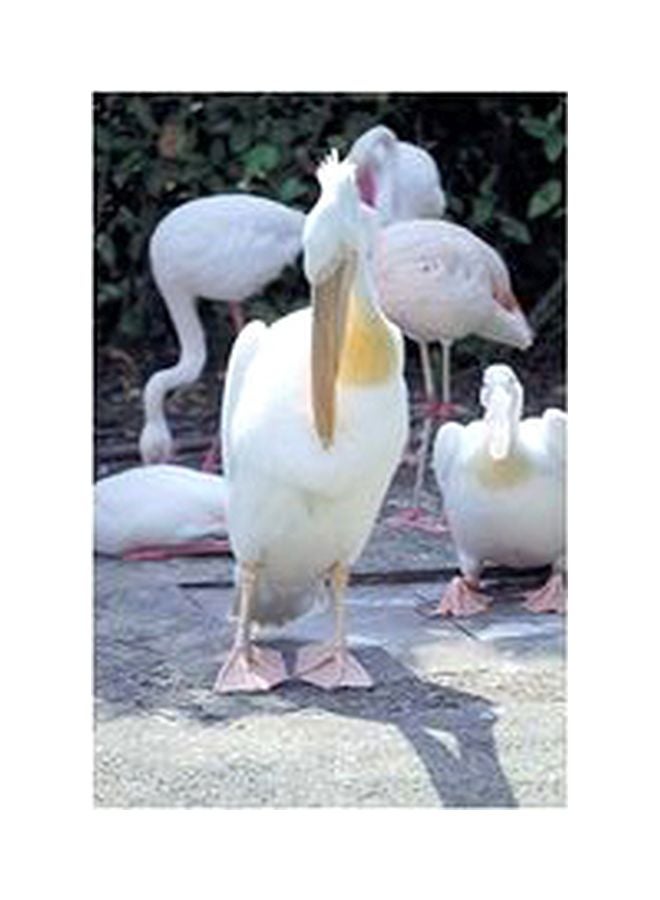 Decorative Wall Poster White/Green 45x31cm