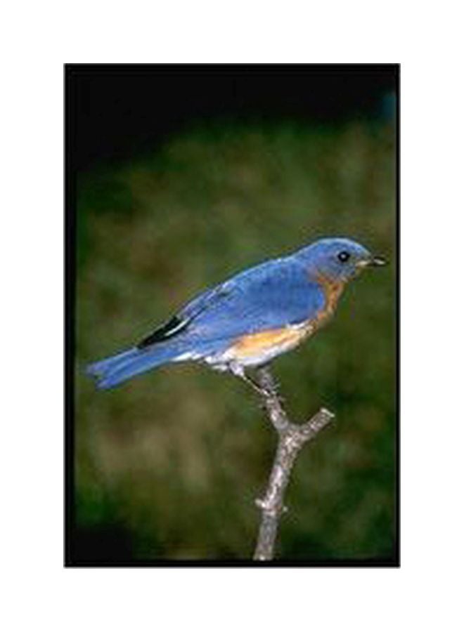 Decorative Wall Poster Blue/Green 60x40cm