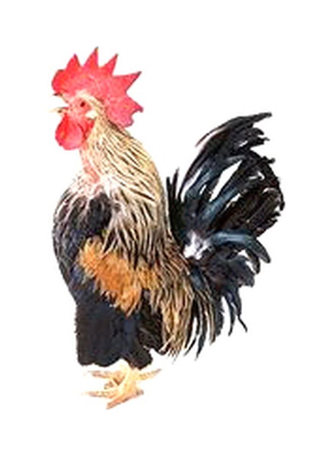 PHOTOBLOCK Decorative Wall Poster Beige/Black/Red 45x31cm