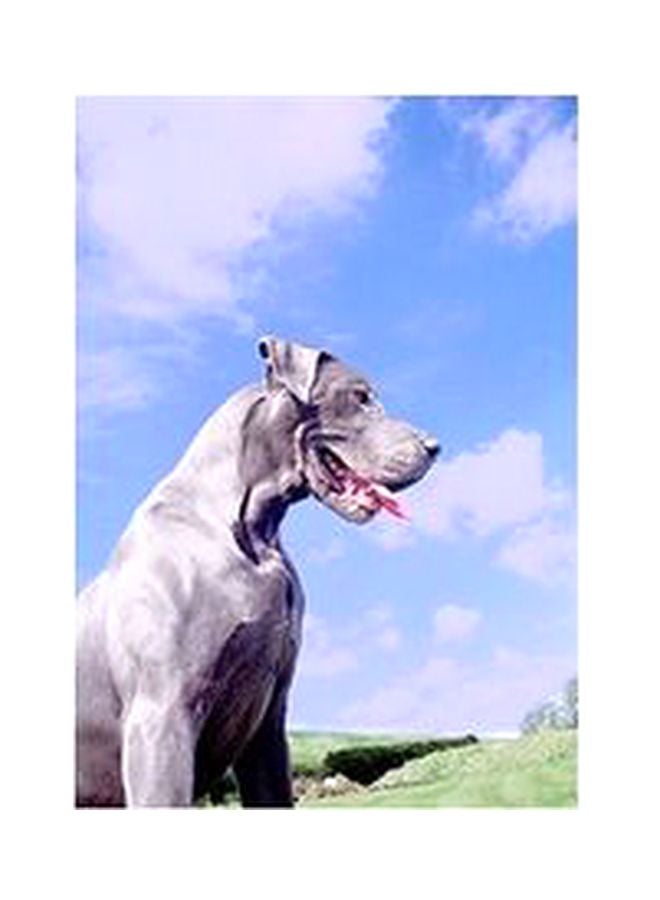 Decorative Wall Poster Multicolour 60x40cm