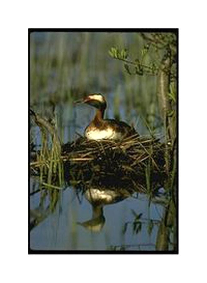 Decorative Wall Poster Green/Gold 60x40cm