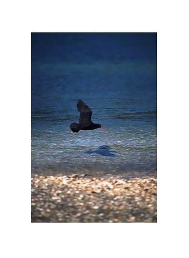 بوستر حائط للتزيين أزرق\بني\أسود 60 X40سم