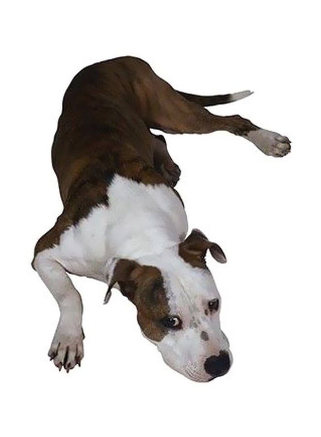 Decorative Wall Poster Brown/White 45x31cm