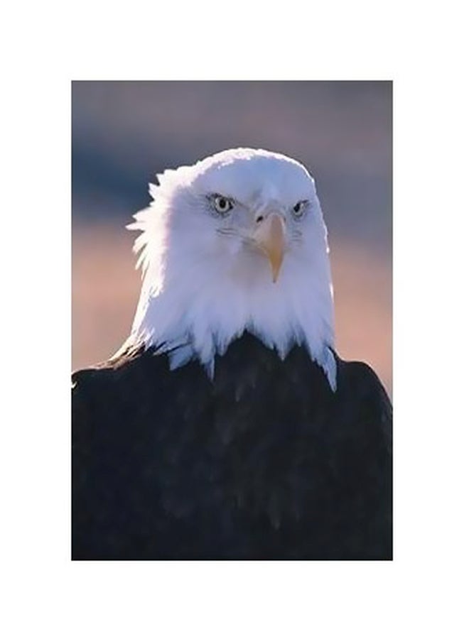 بوستر حائط للتزيين أسود/ أبيض 60x40سم