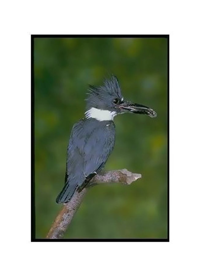 بوستر حائط للتزيين متعدد الألوان 60 X 40سم