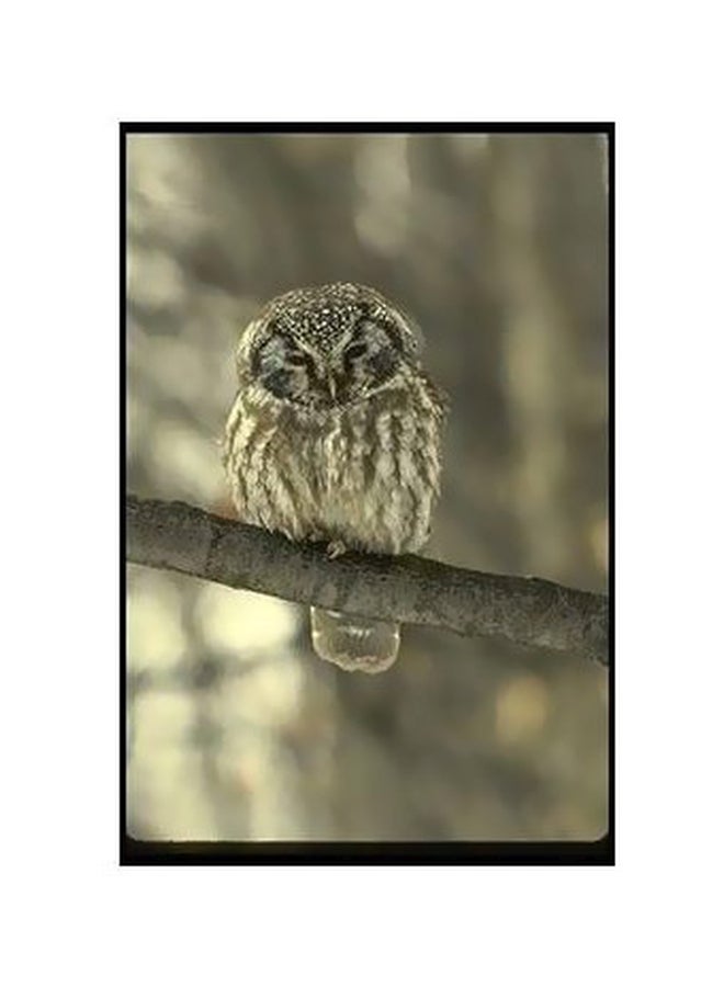 Decorative Wall Poster Brown/White 60x40cm