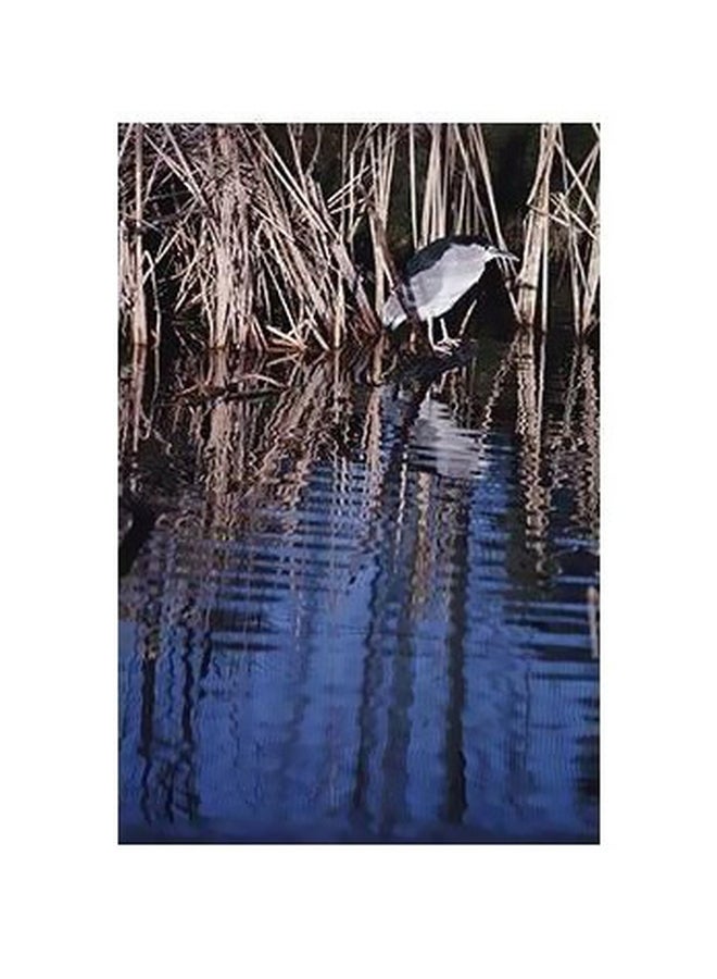 Decorative Wall Poster Multicolour 60x40cm