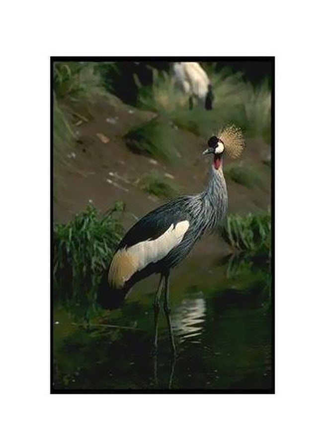 Decorative Wall Poster Multicolour 60 X 40cm