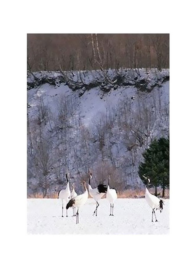 فوتو بلوك بوستر حائط للتزيين أبيض/ رمادي/ أخضر 60x40سم