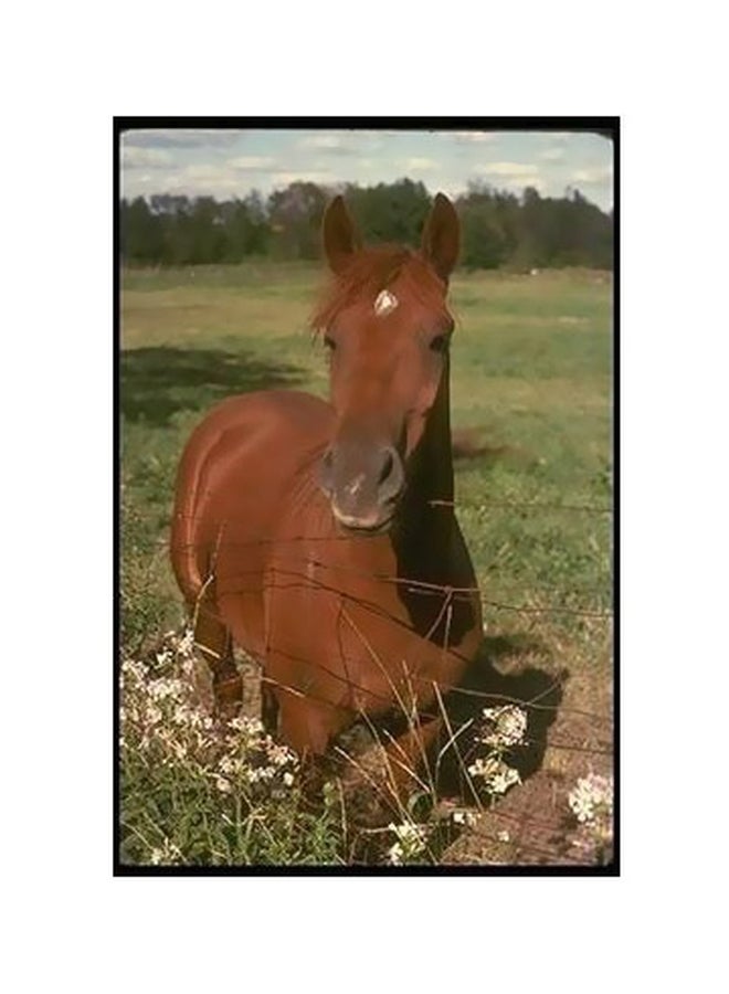 PHOTOBLOCK Decorative Wall Poster Brown/Green/Blue 60 X 40cm 