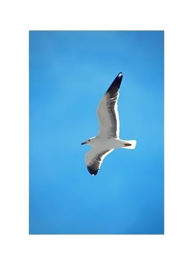 بوستر حائط للتزيين أزرق/ أبيض 45x31سم