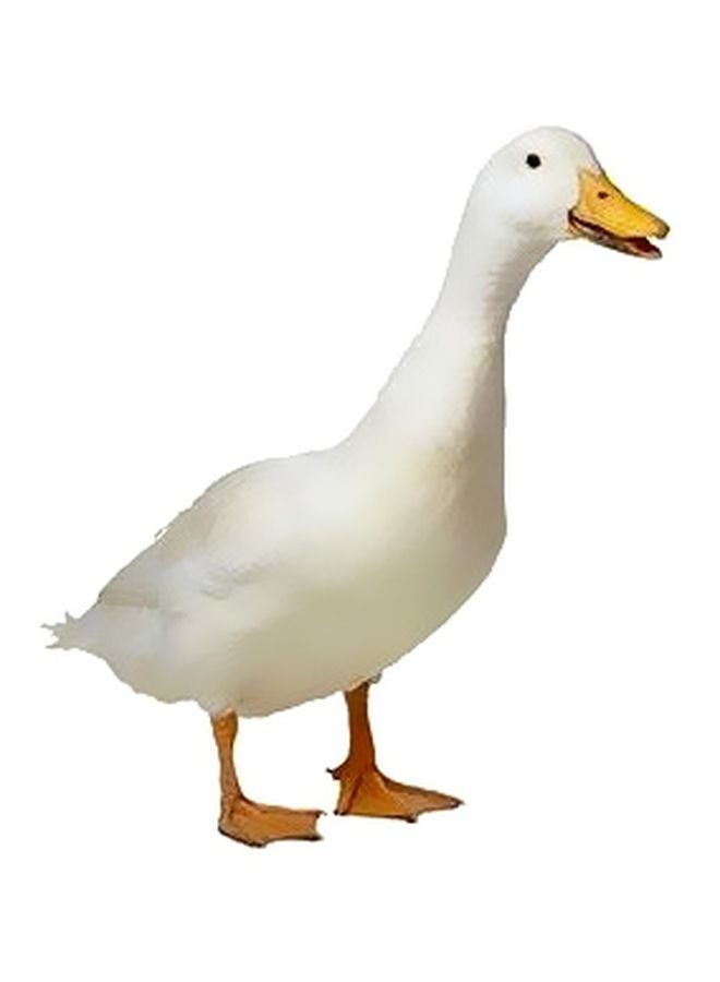 Decorative Wall Poster White 60x40cm