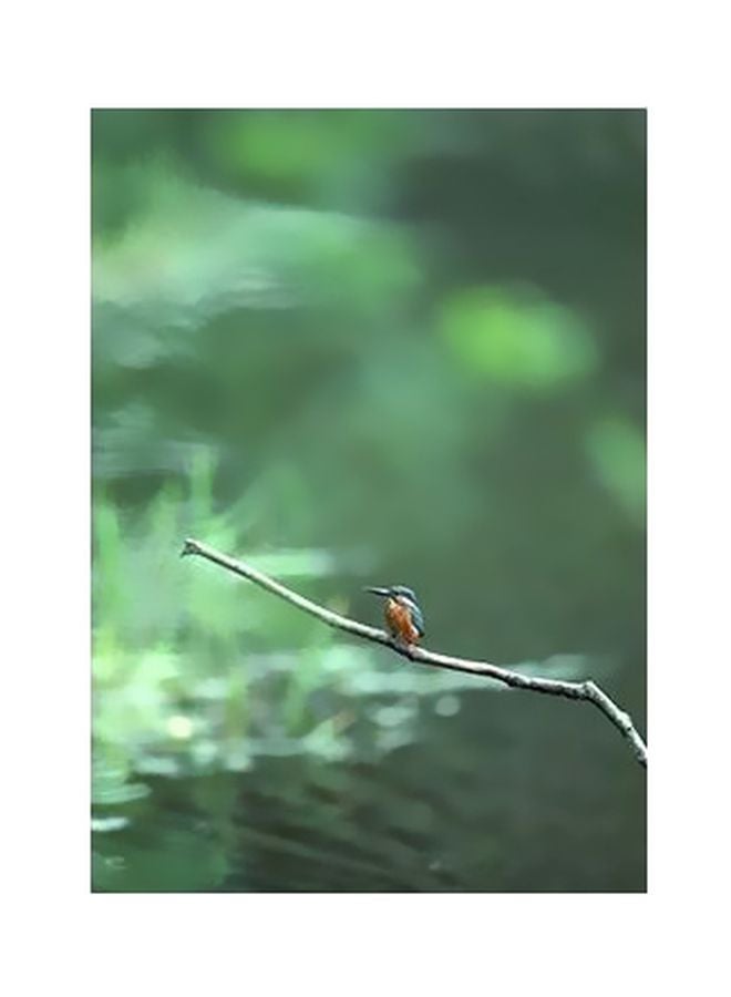 بوستر حائط للتزيين أخضر 60x40سم