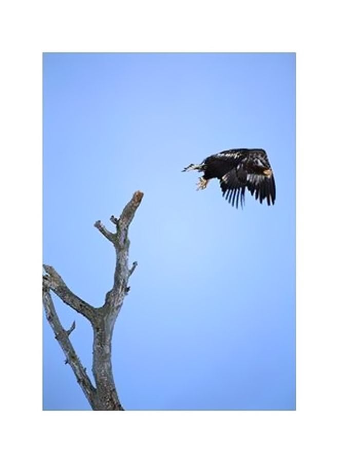 Decorative Wall Poster Blue/Black 60x40cm