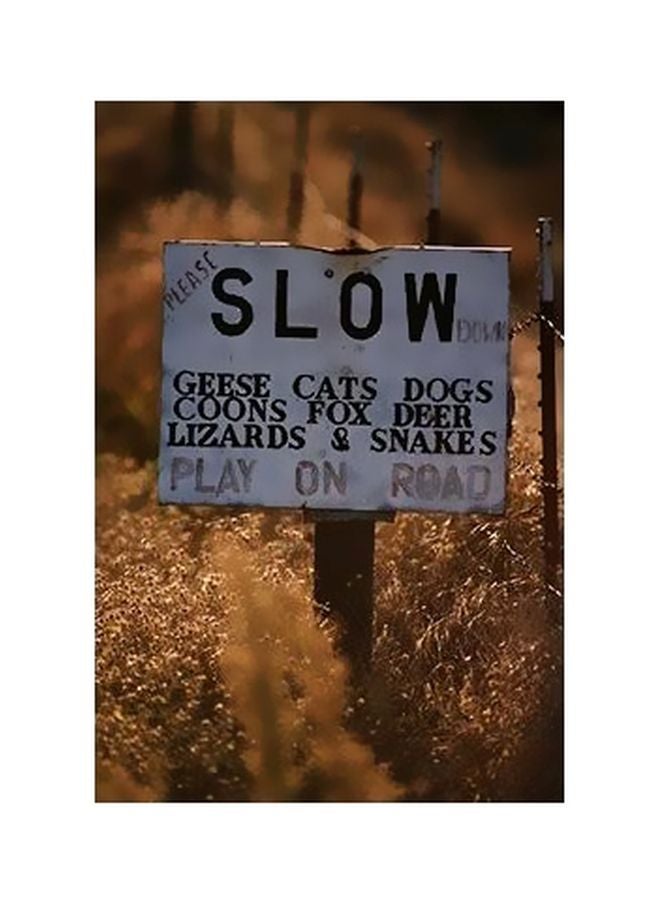 Decorative Wall Poster Multicolour 60x40cm