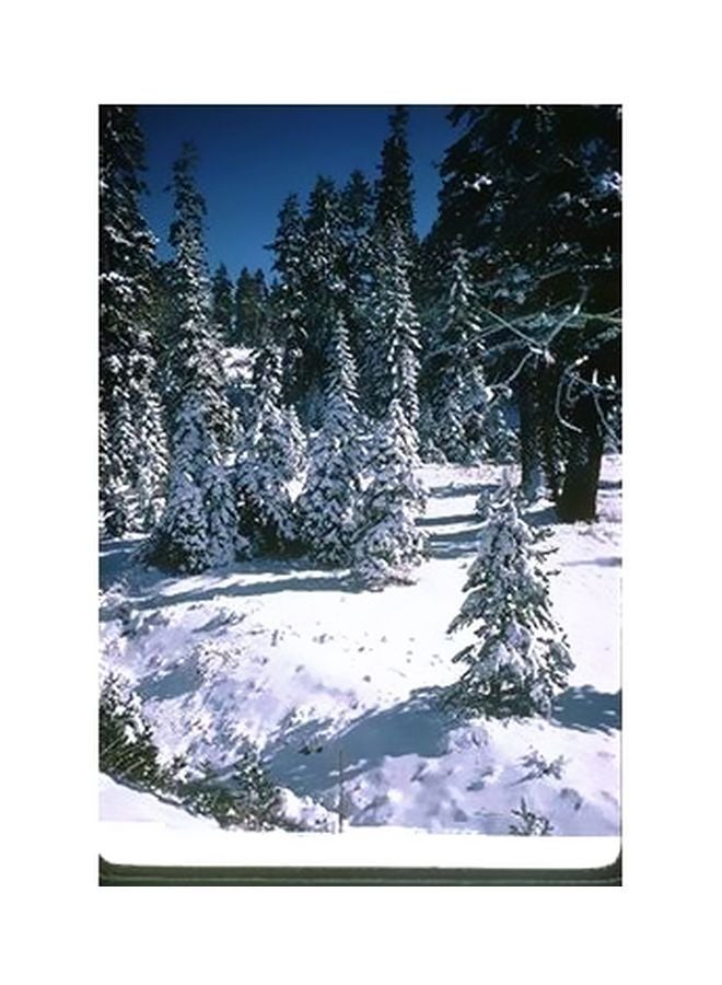 Decorative Wall Poster Green/White/Blue 45x31cm