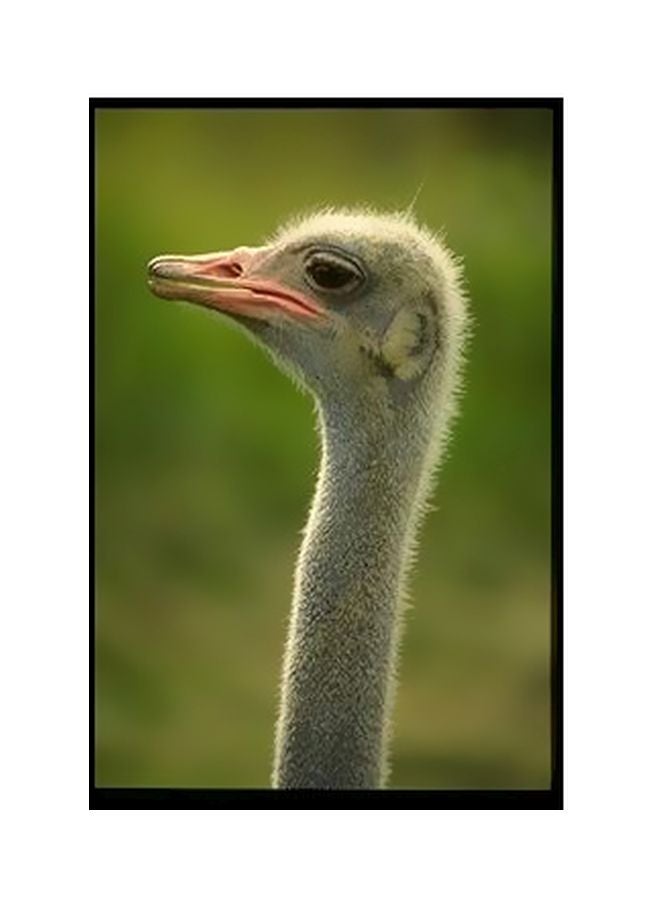 بوستر حائط للتزيين أخضر / رمادي / أسود 45x31سم