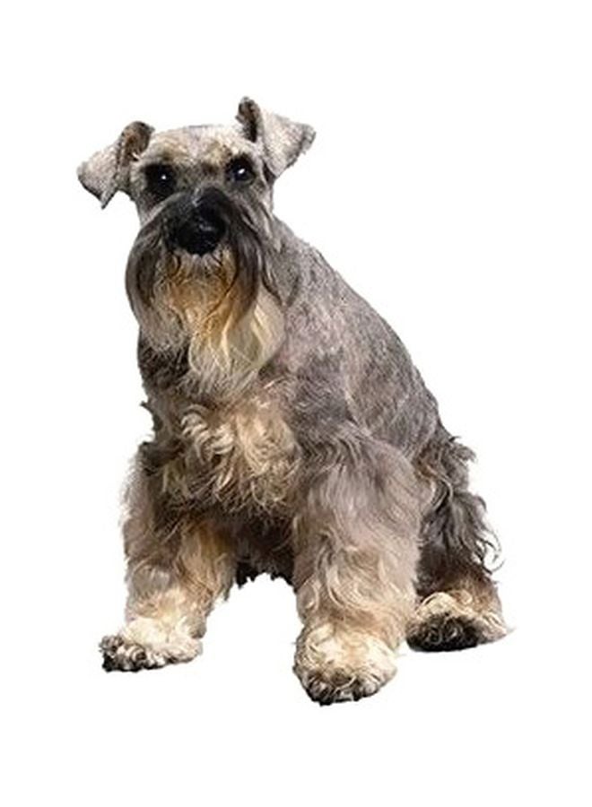 بوستر حائط للتزيين متعدد الألوان 45x31سم