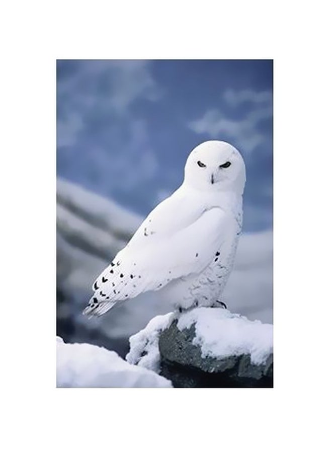 فوتو بلوك بوستر حائط للتزيين أبيض/ أزرق/ أسود 60x40سم