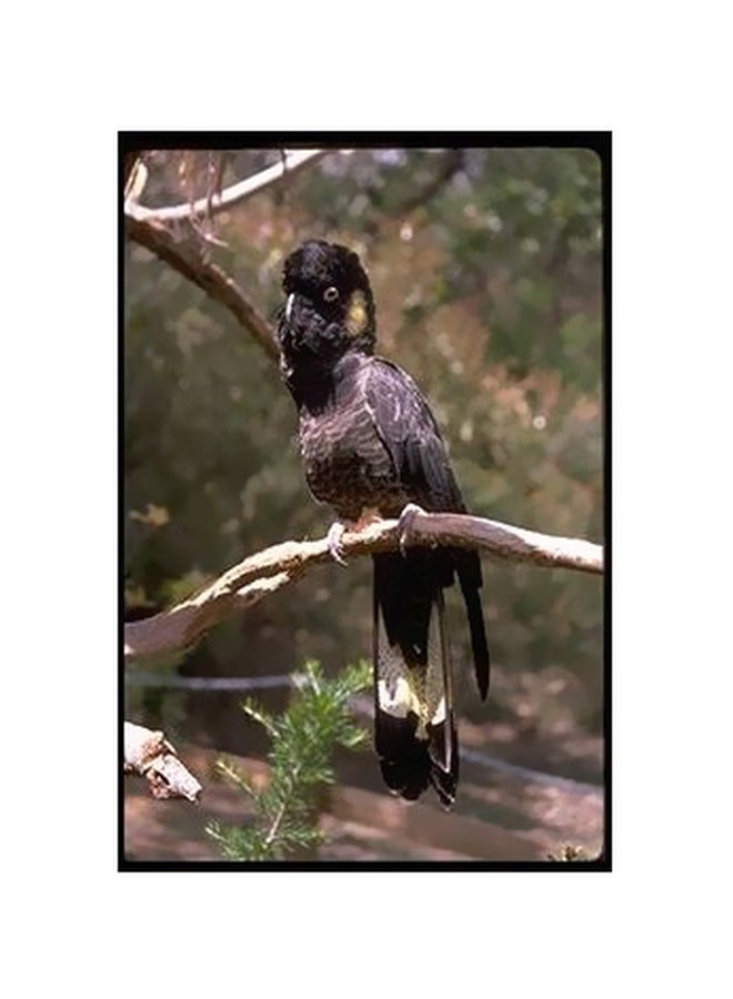 PHOTOBLOCK Decorative Wall Poster Multicolour 60x40cm