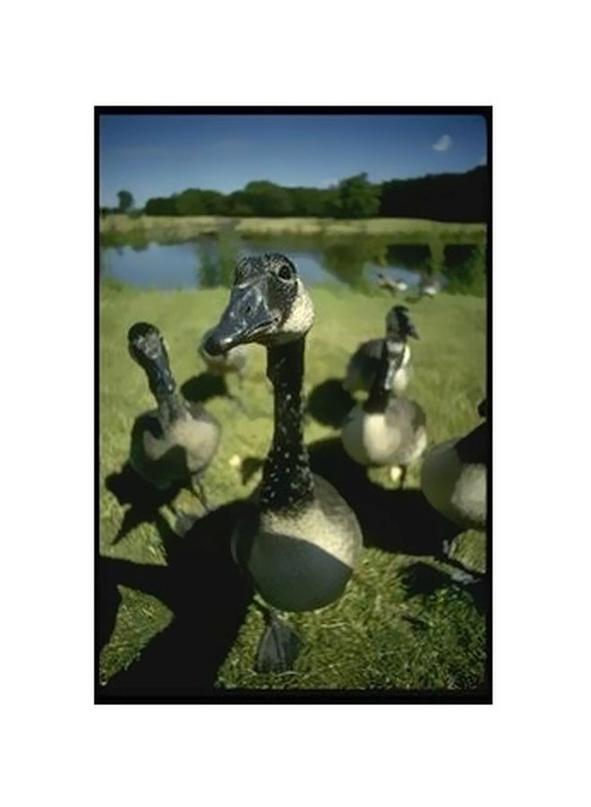 بوستر حائط للتزيين أخضر/أسود 45 X 31سم