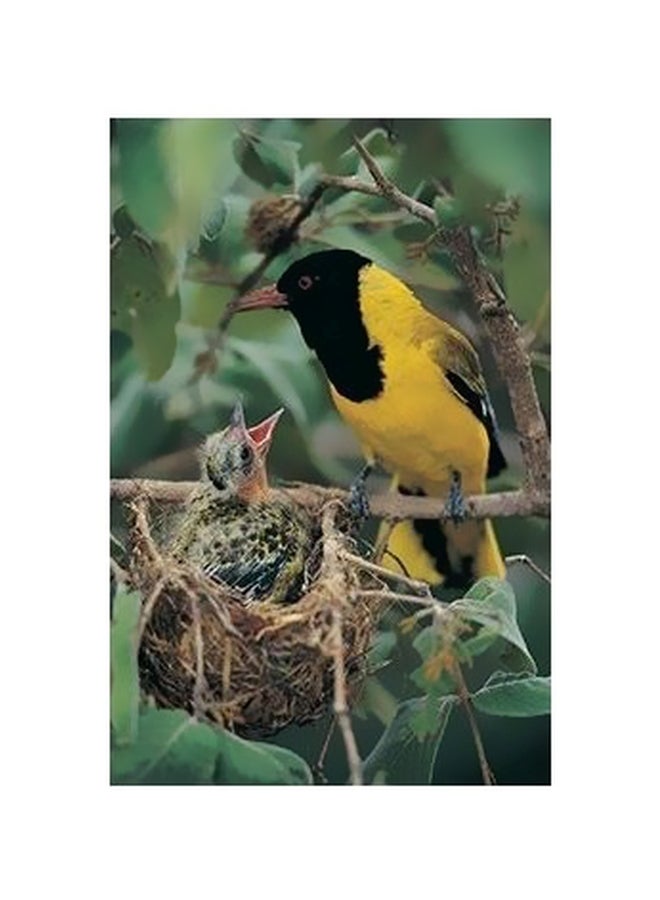 بوستر حائط للتزيين متعدد الألوان 60x40سم