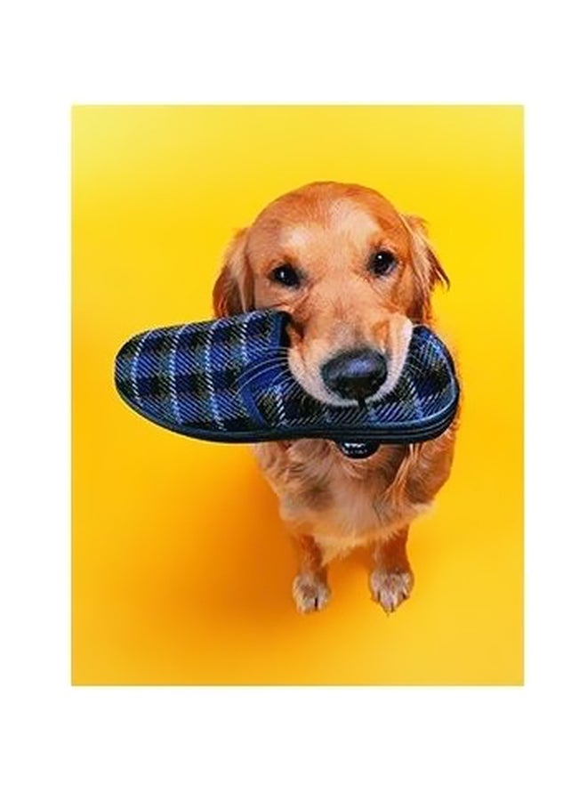 بوستر حائط للتزيين أصفر/بيج/أزرق 60x40سم