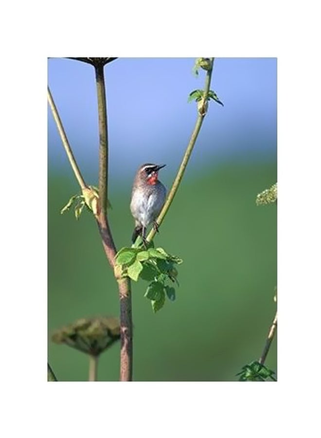 Decorative Wall Poster Green/Blue/Brown 45 X31cm