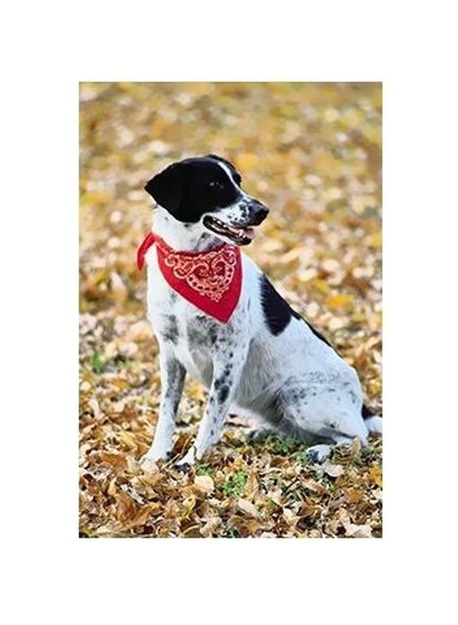 Decorative Wall Poster Yellow/White/Black 60x40cm