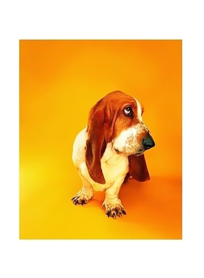 بوستر حائط للتزيين متعدد الألوان 60x40سم