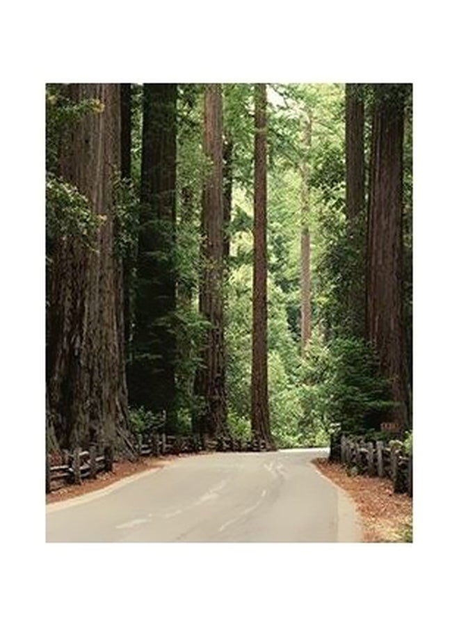 فوتو بلوك بوستر حائط للتزيين متعدد الألوان 60 X40سم