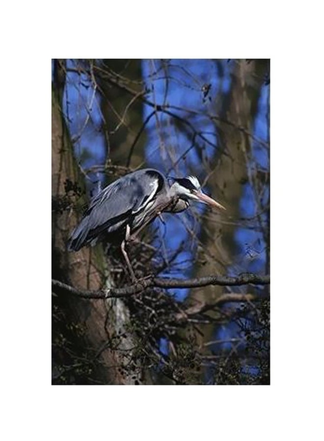 فوتو بلوك بوستر حائط للتزيين متعدد الألوان 45x31سم