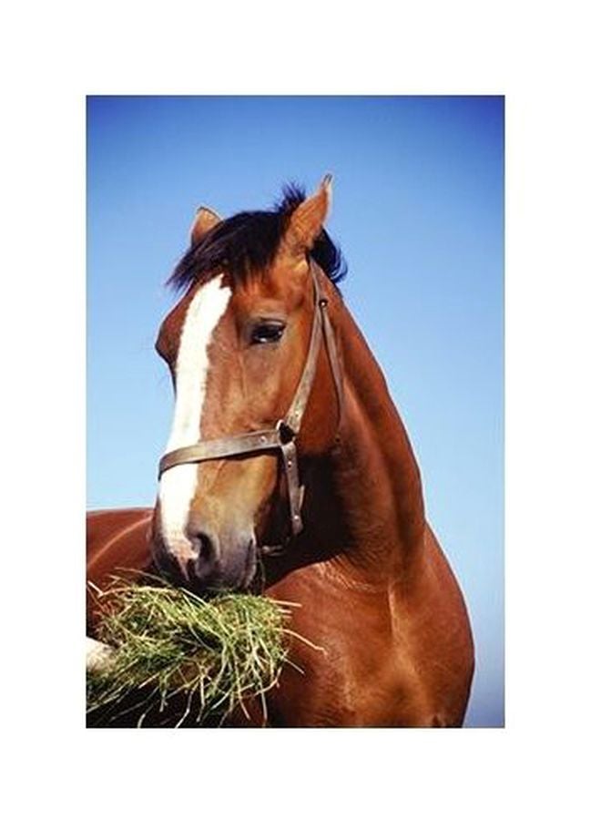 PHOTOBLOCK Decorative Wall Poster Brown/Blue/Green 60 X 40cm 