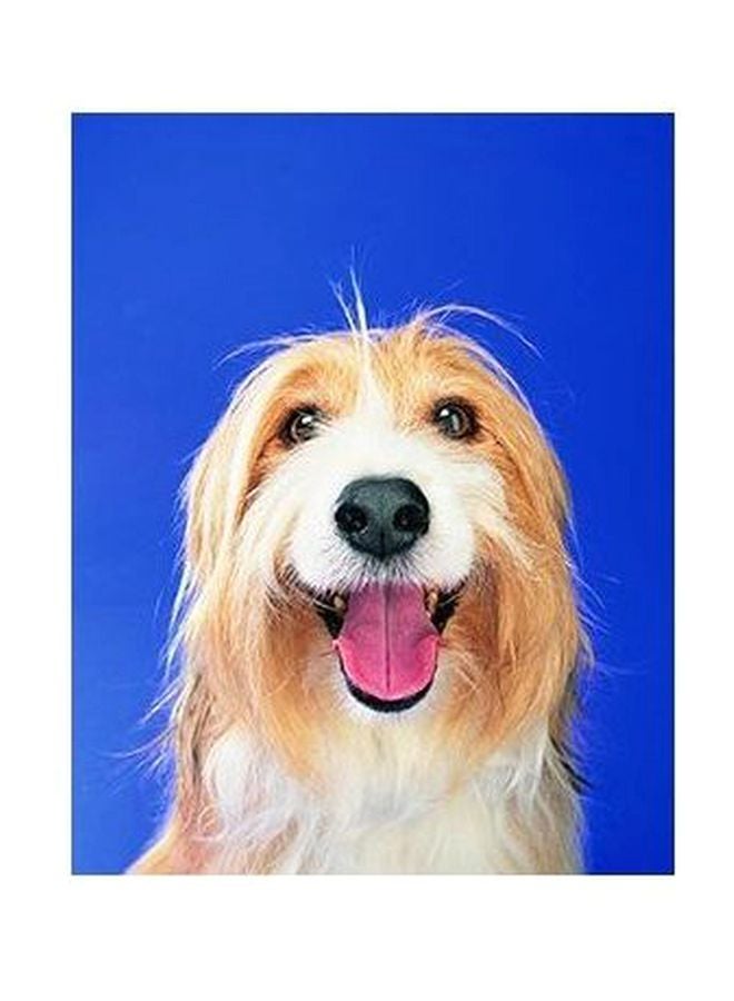 Decorative Wall Poster Multicolour 60x40cm