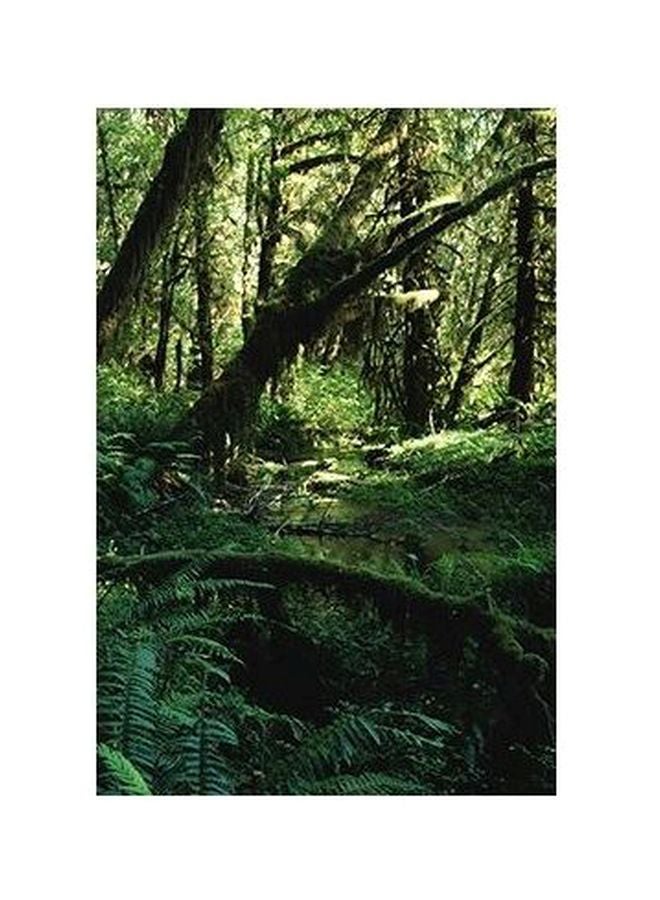 Decorative Wall Poster Green 45x31cm