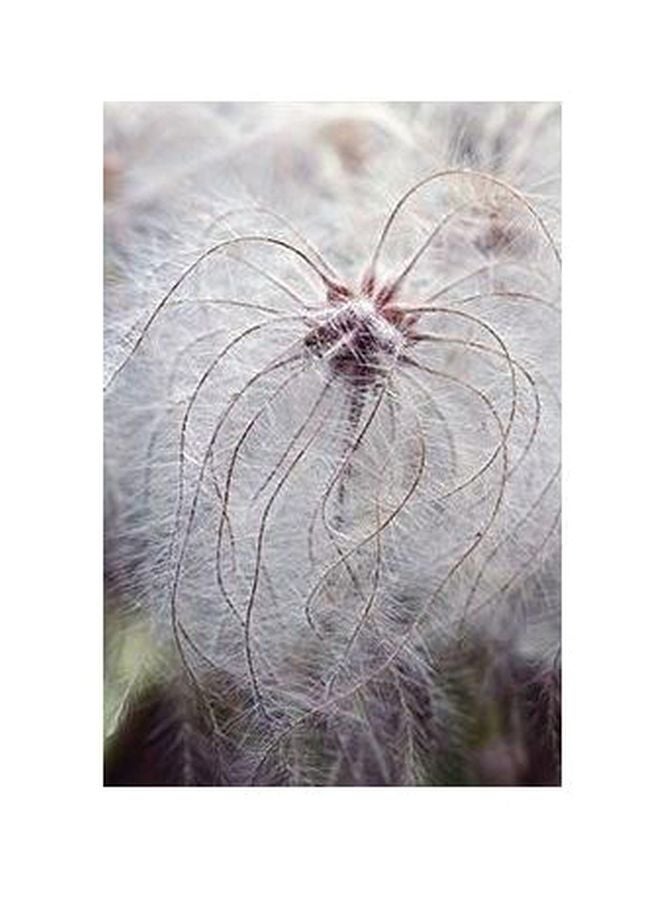 PHOTOBLOCK Decorative Wall Poster White/Purple 60 X40cm 