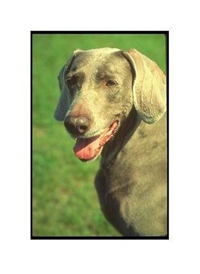 Decorative Wall Poster Beige/Grey/Green 45x31cm