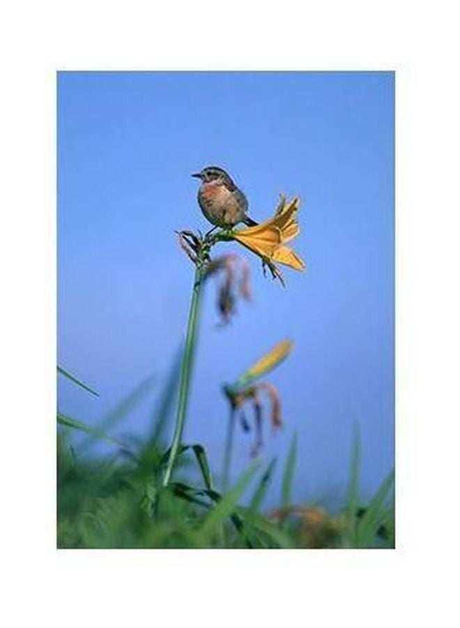 Decorative Wall Poster Green/Blue/Yellow 45 X 31cm