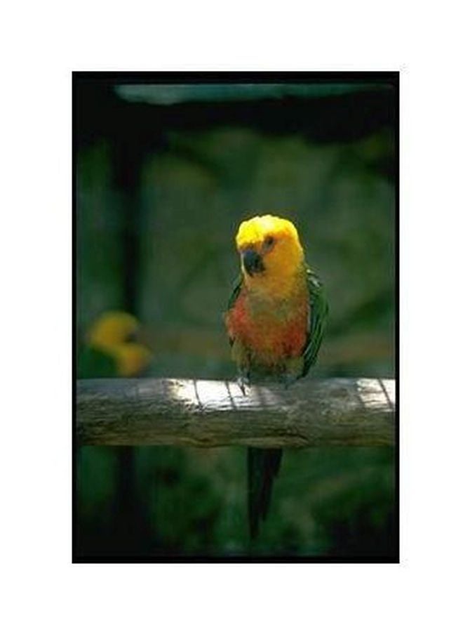 بوستر حائط للتزيين أخضر/أصفر/وردي 45x31سم